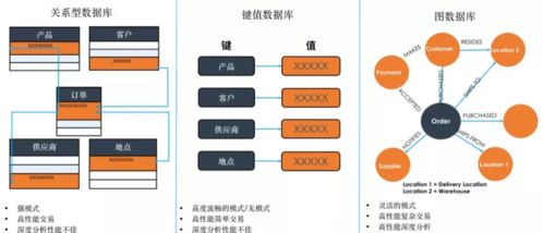 數字化轉型浪潮下，TigerGraph圖技術能否成為數字技術服務新寵兒？