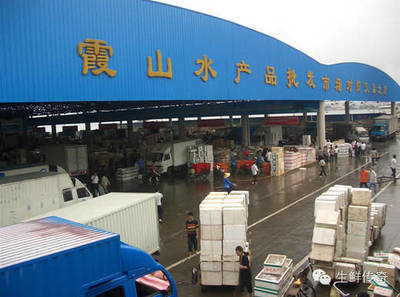 讓天下沒有難賣的魚蝦！探秘中國主要水產品批發市場